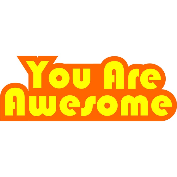 You Are Awesome OR&YL Edition White Mug